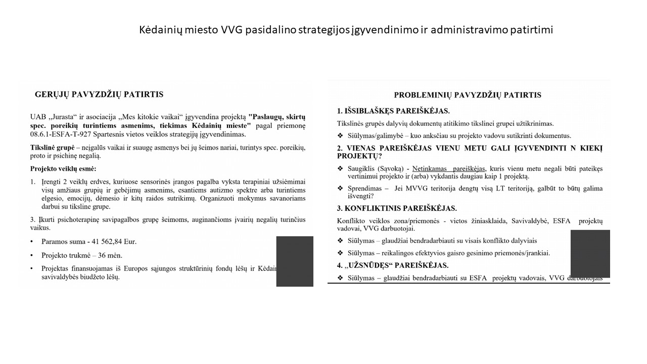 Skaidrė8